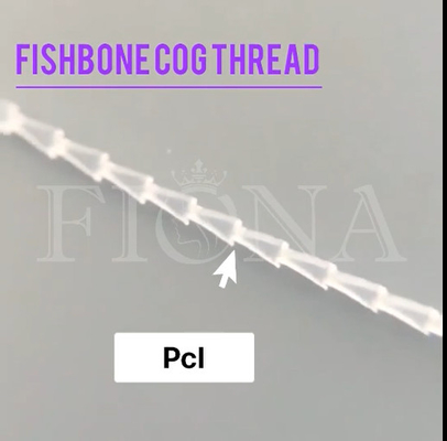 Fishbone PDO PCL φορμάροντας νήμα βαραίνω για την ανύψωση βραχιόνων ελέγχου προσώπου