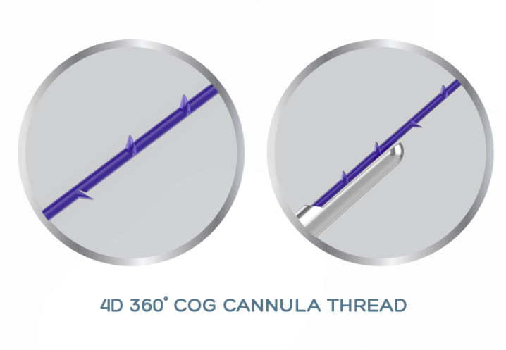 Ανελκυστήρας 19G100mm νημάτων Cannulla ΒΑΡΑΊΝΩ PDO PCL PLLA 4D για τη μη χειρουργική ανύψωση προσώπου
